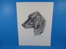 签名《笔墨油画，唐纳德·霍费尔动物系列：爱尔兰Set狗》25.5X32CM