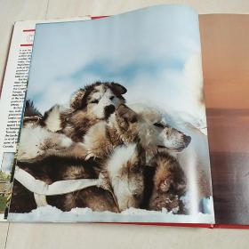 Canada 【精装，英文版精美画册】