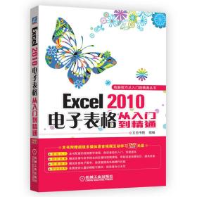 电脑技巧从入门到精通丛书：Excel 2010电子表格从入门到精通