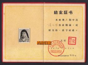 1958年教育部和中国科学院语言研究所，普通话语言研究班结业证书