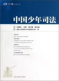 中国少年司法（2013.3，总第17辑）