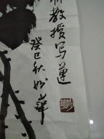 妙华法师画莲一张（保真）