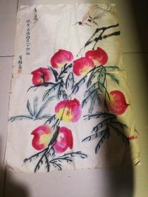 曾祥芮