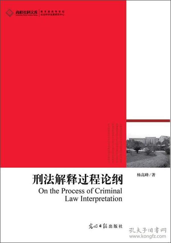 高校社科文库：刑法解释过程论纲