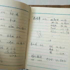 红珊瑚日记本一本！