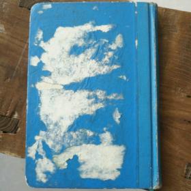 红珊瑚日记本一本！