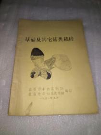 草菇及其它菇类栽培【 有水印 后皮有破损 不影响阅读  如图所示】馆藏