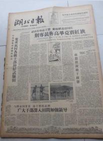 湖北日报1959年(5月14--30日) 合订本 馆藏 见描述