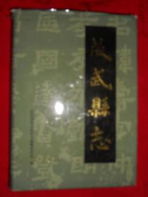 成武县志