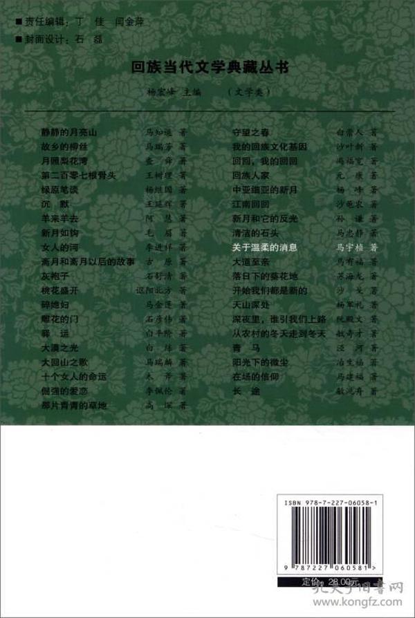 回族当代文学典藏丛书 杨宏峰作品：关于温柔的消息