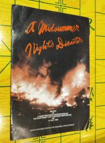 a midsummer night disaster【外文画册】