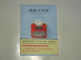 孤独小说家