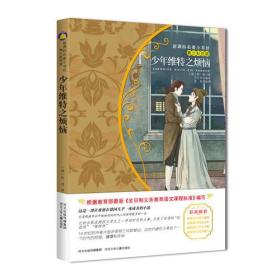 少年维特之烦恼