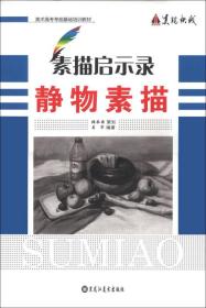 美术高考考前基础培训教材·素描启示录：静物素描