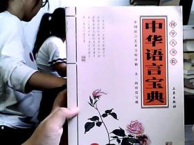 国学大书院：中华语言宝典（经典珍藏版）