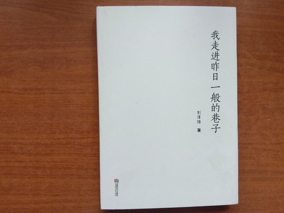 我走進(jìn)昨日一般的巷子（精裝本）