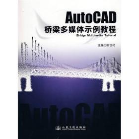 AUTOCAD桥梁多媒体实例教程