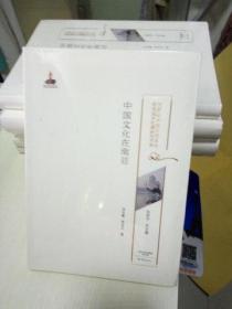 T：中国文化在南亚（20世纪中国古代文化经典域外传播研究书系）16开 塑封 全新 正版 特价