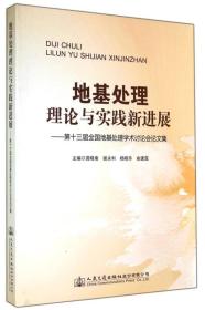 地基处理理论与实践新进展：第十三届全国地基处理学术讨论会论文集