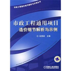 市政工程通用项目造价细节解析与示例