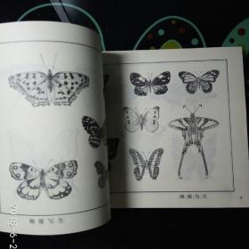 蝴蝶艺术图案