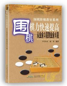 围棋棋力快速提高：从业余3段到业余6段