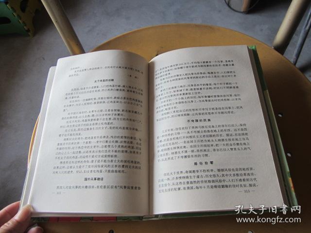 中外奇谜趣大王