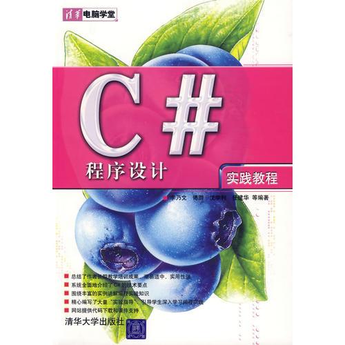 C#程序設(shè)計(jì)實(shí)踐教程