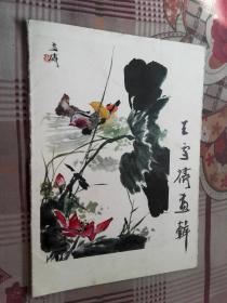 《王雪涛画辑》1—14