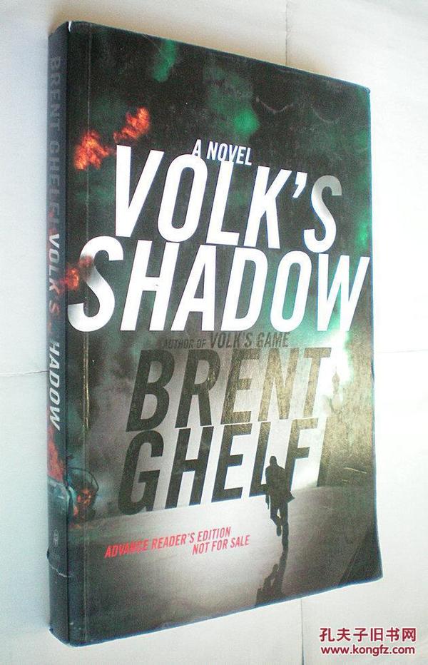 Volk's Shadow: A Novel （平装原版外文书）