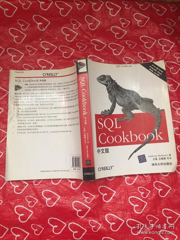 SQL Cookbook中文版