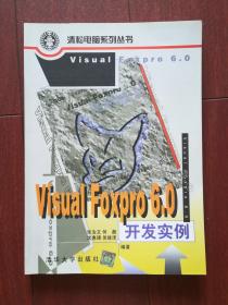 Visual FoxPro 6.0 开发实例