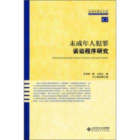 京师刑事法文库：未成年人犯罪诉讼程序研究