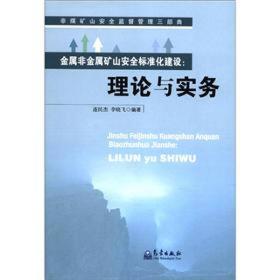 非煤矿山安全监督管理三部曲：金属非金属矿山安全标准化建设：理论与实务