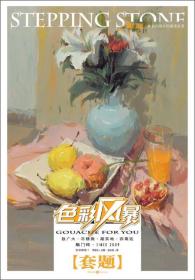敲门砖·彩色风暴系列美术丛书·色彩风暴1·套题