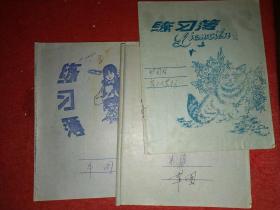 湖州八十年代房地产史料：塘甸村房子丈置情况（共9本，三本基本写满，其余6本仅有若干页，但内容是完整的）