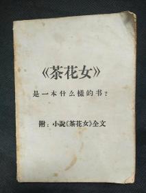 茶花女 是一本什么样的书