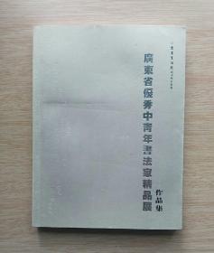 广东书法院创作学术丛书：《广东省优秀中青年书法家精品展》作品集 《全国名家书法艺术双年展》作品集（E2821）