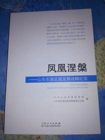 凤凰涅槃 山东实施区域发展战略纪实