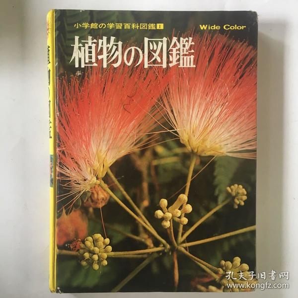 植物的图鉴（日文原版）