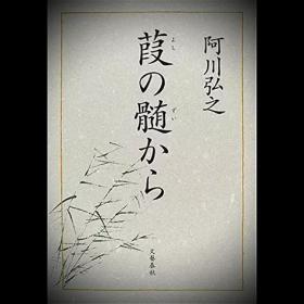 失乐园 日本汉语十品特价十印 渡边淳一著竺家荣译 珠海出版社长篇全集东南亚文化味道译本大重厚经济实惠实用精典好评13章渡边序言言情名家名作翻译权威地道排版考究印刷上乘字体美妙语言巧妙国内翻译早期新版本