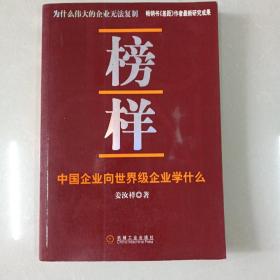 榜样：中国企业向世界级企业学什么