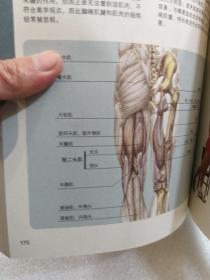 《家庭健美训练图解-德拉威尔肌肉训练方法与计划》一册