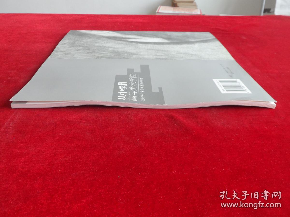 从中学到高等美术学院--杭州第七中学美术教学经典——素描