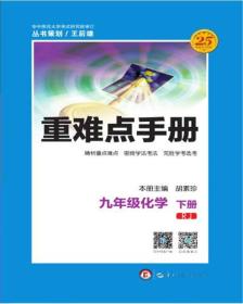 重难点手册 九年级化学 下册 RJ