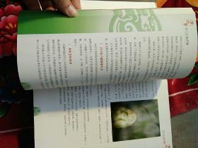 2012中国珠宝玉石首饰年鉴(实物拍照