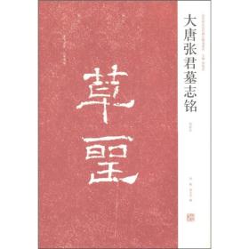 近年新出历代碑志精选系列：大唐张君墓志铭（初拓本）