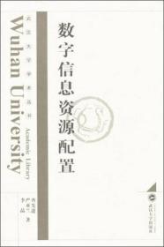 武汉大学学术丛书：数字信息资源配置