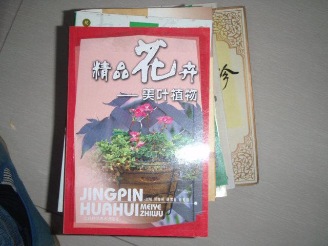 精品花卉.美葉植物