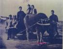 武昌农村的古老牛车